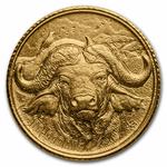 Gold Gram 2022 Big Five: Photo Coin, Ivory Coast, Gold Gram 2022 Big Five / thumbnail