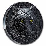 Silver Five Ounces 2021 Tiger: Photo Coin, Ivory Coast, Silver Five Ounces 2021 Tiger / thumbnail