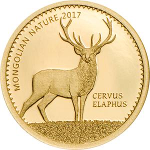 Mongolia / Gold Half Gram 2017 Red Deer - reverse photo
