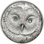 Silver Ounce 2011 Ural Owl: Photo Coin, Mongolia, Silver Ounce 2011 Ural Owl / thumbnail