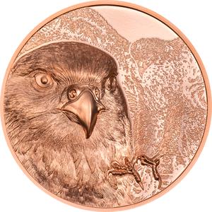 Mongolia / Copper Fifty Grams 2023 Wild Mongolia - Mongolian Falcon - reverse photo