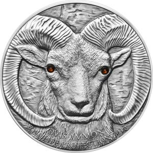 Mongolia / Silver Ounce 2013 Argali - Ovis Ammon - reverse photo