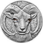 Silver Ounce 2013 Argali - Ovis Ammon: Photo Coin, Mongolia, Silver Ounce 2013 Argali - Ovis Ammon / thumbnail