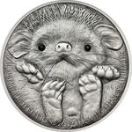 Silver Ounce 2012 Long-eared Hedgehog: Photo Coin, Mongolia, Silver Ounce 2012 Long-eared Hedgehog / thumbnail