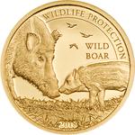 Gold Half Gram 2018 Wild Boar: Photo Coin, Mongolia, Gold Half Gram 2018 Wild Boar / thumbnail