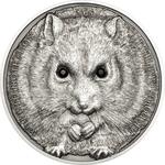 Silver Ounce 2015 Campbell's Hamster: Photo Coin, Mongolia, Silver Ounce 2015 Campbells Hamster / thumbnail