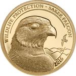 Gold Half Gram 2016 Saker Falcon: Photo Coin, Mongolia, Gold Half Gram 2016 Saker Falcon / thumbnail