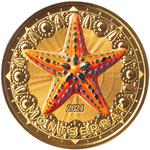 Montserrat / Gold Ounce 2024 Starfish / Coloured Proof - reverse photo