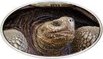 Niue / Silver Ounce 2015 Animal Skins - Lonesome George - reverse photo