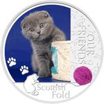 Silver Ounce 2012 Scottish Fold Cat: Photo Coin, Niue, Silver Ounce 2012 Scottish Fold Cat / thumbnail