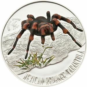 Niue / Silver Half Ounce 2011 Tarantula - reverse photo