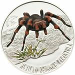 Silver Half Ounce 2011 Tarantula: Photo Coin, Niue, Silver Half Ounce 2011 Tarantula / thumbnail
