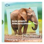 Silver Ounce 2020 Animal Champions - Elephant: Photo Coin, Niue, Silver Ounce 2020 Animal Champions - Elephant / thumbnail