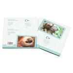 Silver Ounce 2020 Animal Champions - Sloth: Photo Coin, Niue, Silver Ounce 2020 Animal Champions - Sloth / thumbnail