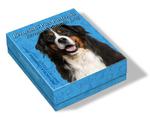 One Dollar Silver 2015 Bernese Mountain Dog: Photo Coin, Niue, One Dollar Silver 2014 Bernese Mountain Dog / thumbnail
