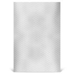 Silver Thirty-five Grams Action Comics 1: Photo Coin, Niue, Silver Thirty-five Grams Action Comics 1 / thumbnail