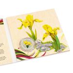 Silver Half Ounce 2017 Iris Humilis: Photo Coin, Niue, Silver Half Ounce 2017 Iris Humilis / thumbnail