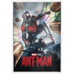 Silver One and a Half Ounce 2025 Marvel - Ant-Man: Photo Coin, Niue, Silver One and a Half Ounce 2025 Marvel - Ant-Man / thumbnail