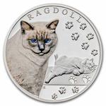 Silver Ounce 2025 Cat Breeds - Ragdoll: Photo Coin, Niue, Silver Ounce 2025 Cat Breeds - Ragdoll / thumbnail