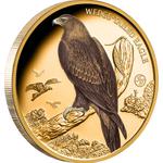 Gold Ounce 2025 Birds of Australia - Wedge-tailed Eagle: Photo Coin, Niue, Gold Ounce 2025 Birds of Australia - Wedge-tailed Eagle / thumbnail