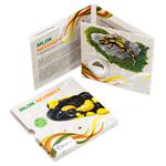 Silver Half Ounce 2015 Fire Salamander: Photo Coin, Niue, Silver Half Ounce 2015 Fire Salamander / thumbnail