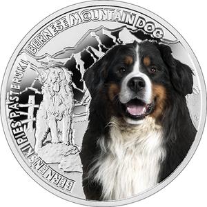 Niue / One Dollar Silver 2015 Bernese Mountain Dog - reverse photo