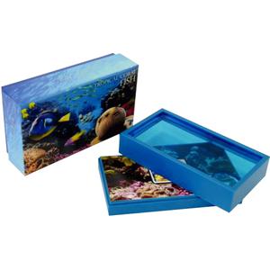 Niue / Silver Ounce 2013 Royal Blue Tang Fish - obverse photo
