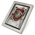 Silver Five Grams 2020 Hogwarts House Banners - Gryffindor: Photo Coin, Niue, Silver Five Grams 2021 Hogwarts House Banners - Gryffindor / thumbnail