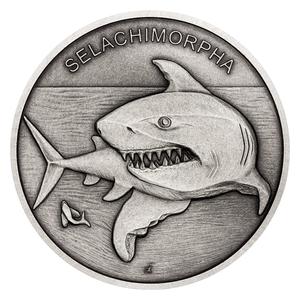 Niue / Silver Ounce 2020 Animal Champions - Shark - reverse photo
