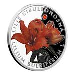 Silver Half Ounce 2017 Lilium Bulbiferum: Photo Coin, Niue, Silver Half Ounce 2017 Lilium Bulbiferum / thumbnail