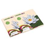 Silver Half Ounce 2016 Water Lily: Photo Coin, Niue, Silver Half Ounce 2016 Water Lily / thumbnail