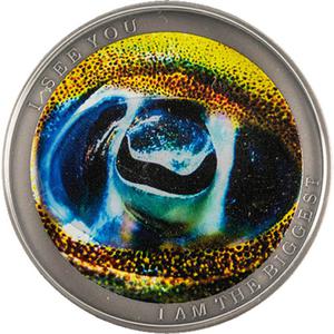 Niue / Silver Half Ounce 2022 Bigfin Reef Squid - reverse photo