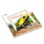 Silver Ounce 2019 Animal Champions - Golden Poison Frog: Photo Coin, Niue, Silver Ounce 2019 Animal Champions - Golden Poison Frog / thumbnail