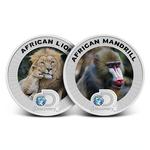 Silver One and a Half Ounce 2016 Discovery - Lion: Photo Coin, Niue, Silver One and a Half Ounce Discovery - Lion / thumbnail