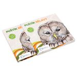 Silver Half Ounce 2017 Ural Owl: Photo Coin, Niue, Silver Half Ounce 2017 Ural Owl / thumbnail