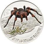 Silver Half Ounce 2012 Mexican Redknee Tarantula: Photo Coin, Niue, Silver Half Ounce 2012 Mexican Redknee Tarantula / thumbnail