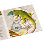 Silver Half Ounce 2017 European Green Lizard: Photo Coin, Niue, Silver Half Ounce 2017 European Green Lizard / thumbnail