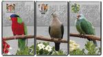 Silver Ounce 2013 Pacific Pigeon: Photo Coin, Niue, Silver Ounce 2013 Pacific Pigeon / thumbnail
