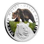 Silver Half Ounce 2016 Brown Bear: Photo Coin, Niue, Silver Half Ounce 2016 Brown Bear / thumbnail