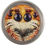Silver Half Ounce 2022 Jumping Spider: Photo Coin, Niue, Silver Half Ounce 2022 Jumping Spider / thumbnail