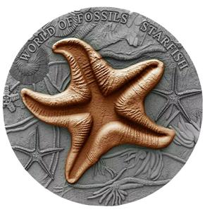 Niue / Silver Two Ounces 2019 Starfish - reverse photo