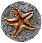 Silver Two Ounces 2019 Starfish: Photo Coin, Niue, Silver Two Ounces 2019 Starfish / thumbnail