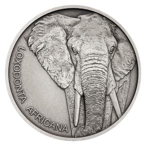 Niue / Silver Ounce 2020 Animal Champions - Elephant - reverse photo