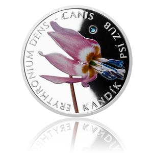 Niue / Silver Half Ounce 2015 Dog Tooth Violet - reverse photo