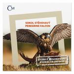 Silver Ounce 2019 Animal Champions - Falcon: Photo Coin, Niue, Silver Ounce 2019 Animal Champions - Falcon / thumbnail