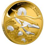 Gold Ounce 2025 Australia at Night - Bottlenose Dolphin: Photo Coin, Niue, Gold Ounce 2025 Australia at Night - Bottlenose Dolphin / thumbnail