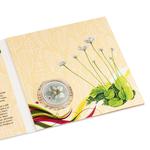 Silver Half Ounce 2018 Parnassia Palustris: Photo Coin, Niue, Silver Half Ounce 2018 Parnassia Palustris / thumbnail