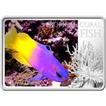 Silver Ounce 2013 Royal Gramma Fish: Photo Coin, Niue, Silver Ounce 2013 Royal Gramma Fish / thumbnail