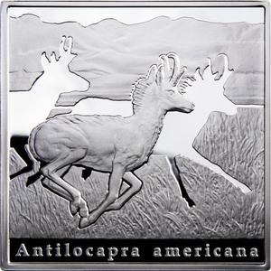 Niue / Silver Ounce 2010 Pronghorn - obverse photo