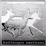 Niue / Silver Ounce 2010 Pronghorn - obverse photo